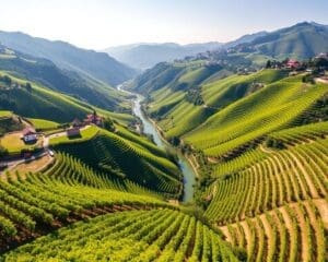 Bewonder de iconische wijngaarden van de Douro-vallei, Portugal