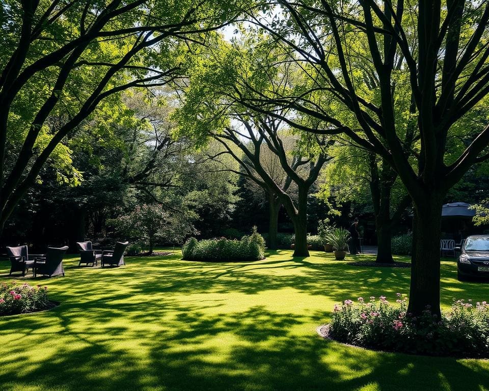 Hoe Creëer Je Schaduwrijke Plekken in Je Tuin?