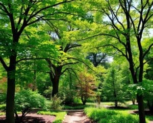 Beste Bomen voor Een Weelderige en Groene Tuin