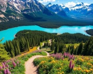 Bewonder de meren van Banff, Canada tijdens een wandeltocht