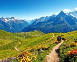 Geniet van een trektocht door de Alpen van Zwitserland