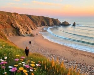 Ontdek de schilderachtige kustlijn van Californië