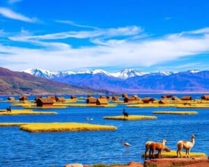 Het Titicacameer: Cultuur en natuur tussen Peru en Bolivia