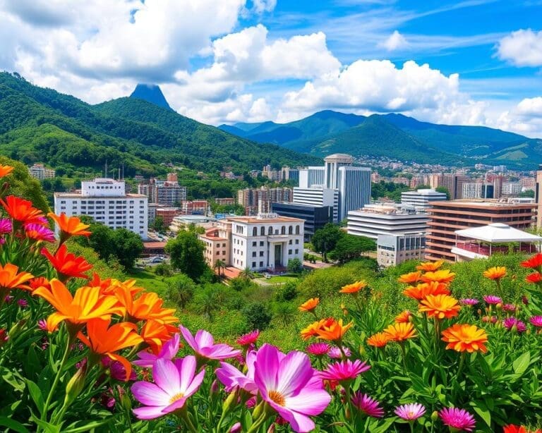 Medellín: bergen, bloemen en moderne flair