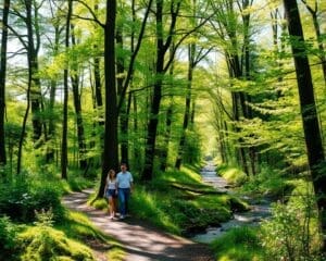 Wat zijn de voordelen van dagelijkse wandelingen in de natuur?