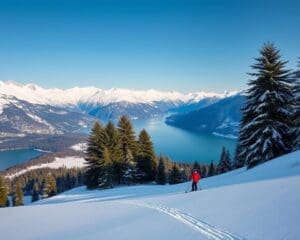 Brienz: Rustig skiën in Zwitserse natuur