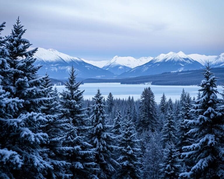 Wat maakt reizen in de winter zo sfeervol?