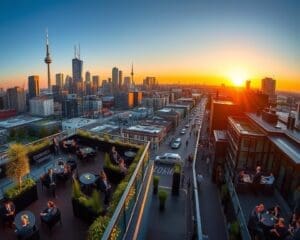 Welke rooftop bars zijn populair in Rotterdam?