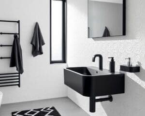 matzwarte accessoires badkamer